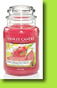 Yankee Candle Pink Dragonfruit