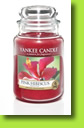 Yankee Candle Pink Hibiscus