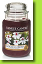 Yankee Candle Magadascan Orchid